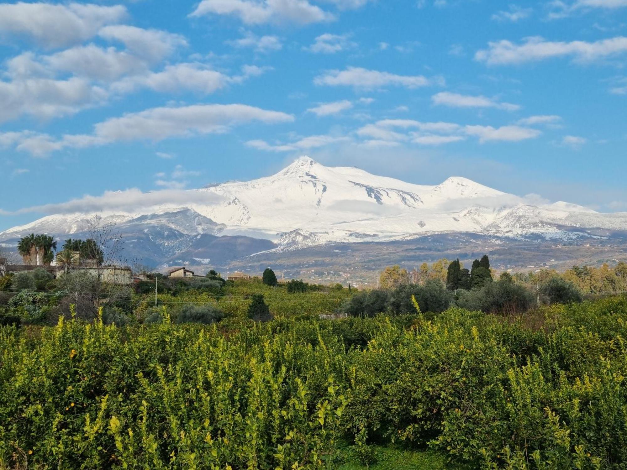 Delightful Relaxing Home With Heated Pool Near Catania, Taormina, The Sea And Mount Etna Giarre Kültér fotó
